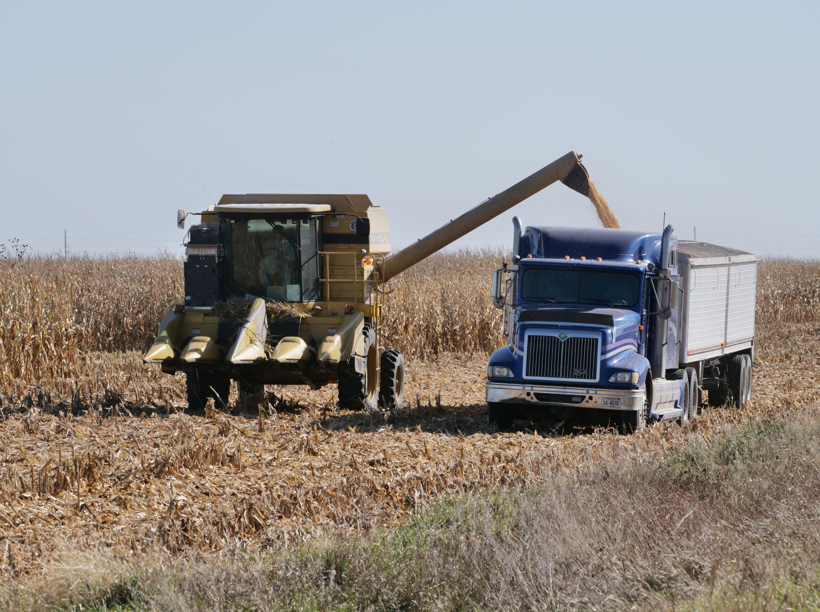 p10-15-19FRMharvest3.jpg